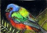 by Terri Walker