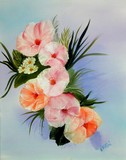 by Nancy Mattei