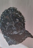 by Cathie Brock
