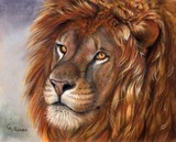 by Svetlana Ledneva-Schukina