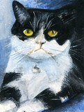 by Judith  webb