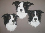 by Joanne Simpson-Connor