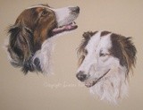 by Joanne Simpson-Connor