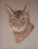 by Joanne Simpson-Connor