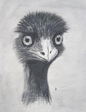 by Leraz Shutkever