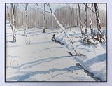 by STAN SWENSON