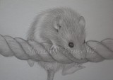 by Sharlene Bruce