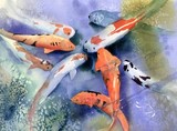 by susan shaw