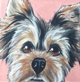 by Michelle Gilsey
