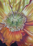 by Barbara Keith