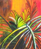 by Gill Knox