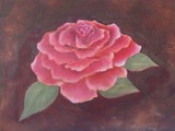 by dawnae zobrist