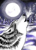 by Lori Nadaskay