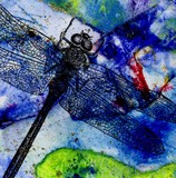 by Kathy Morton-Stanion