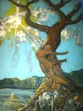 by stefan duncan