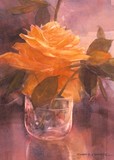 by Susan Kennedy
