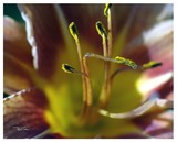 by Rick  Taber
