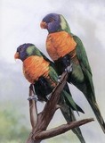 by diane deason