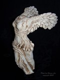 by Sharron Lee