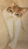 by KY Cady