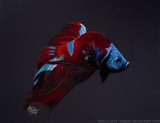 by Styx Parker