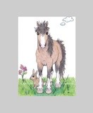 by Cheryl Garman-Andrade