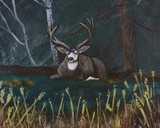by Jennifer Jeffris