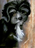 by linda lindall