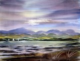 by Steven Cronin