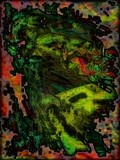 by Helmut Licht