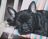 by Mary-Lee Sanders