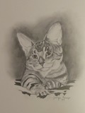 by Jennifer Krueger