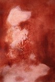 by Monique schumacher