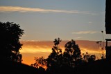 by Debra Kott