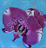 by Lucinda Troester