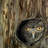 by Mary Arneson