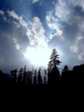 by anirban chandra pal