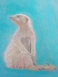 by Dawn Clayton