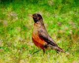 by Wingsdomain.com 