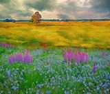 by Nellie Vin