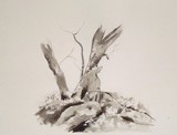 by Rasmus Berglund