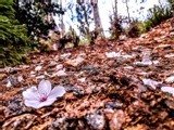 by jason Chatman