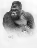 by woody welch