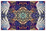 by KASON GLENN