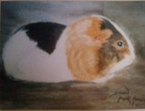 by Dawn Moir-Harris 