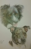 by Susan Rathbone 
