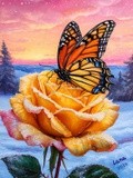 by Svetlana Toropoviene