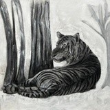 by Mita Vora