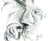 by Vicky Tico