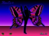 by Gary Schooley